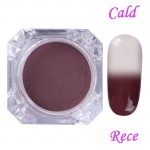 Pigment pentru unghii NADP006LL Cameleon Termic de 2gr + 1 aplicator